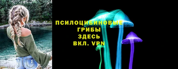 МДПВ Лагань